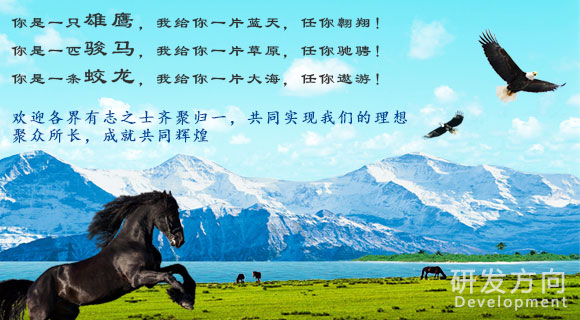 歸一科技研發方向